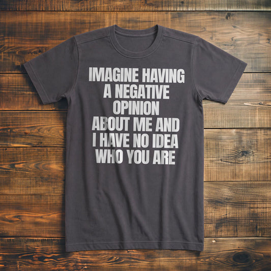 Imagine Having a Negative Opinion About Me and I Have No Idea Who You Are T-Shirt – Premium Asphalt
