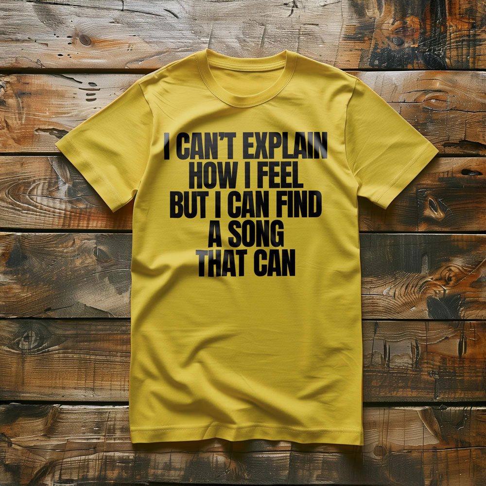 I Can't Explain How I Feel But I Can Find a Song That Can - T-Shirt