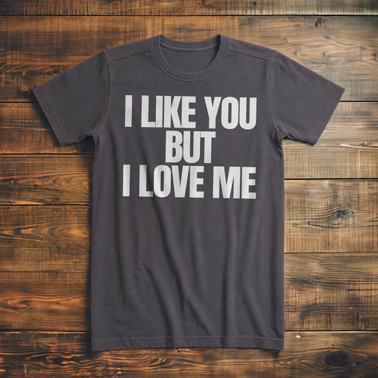 I Like You But I Love Me T-Shirt – Premium Asphalt