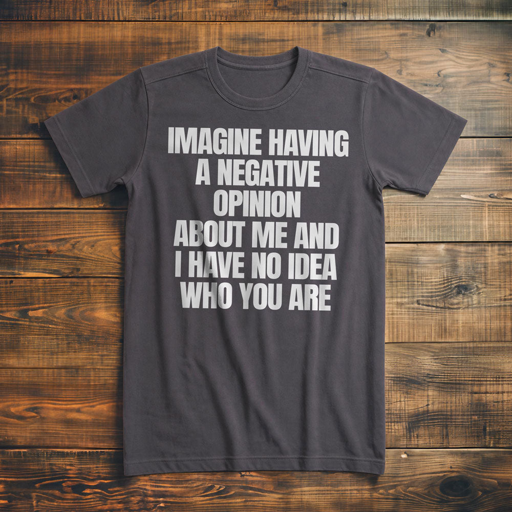 Imagine Having a Negative Opinion About Me and I Have No Idea Who You Are T-Shirt – Premium Asphalt
