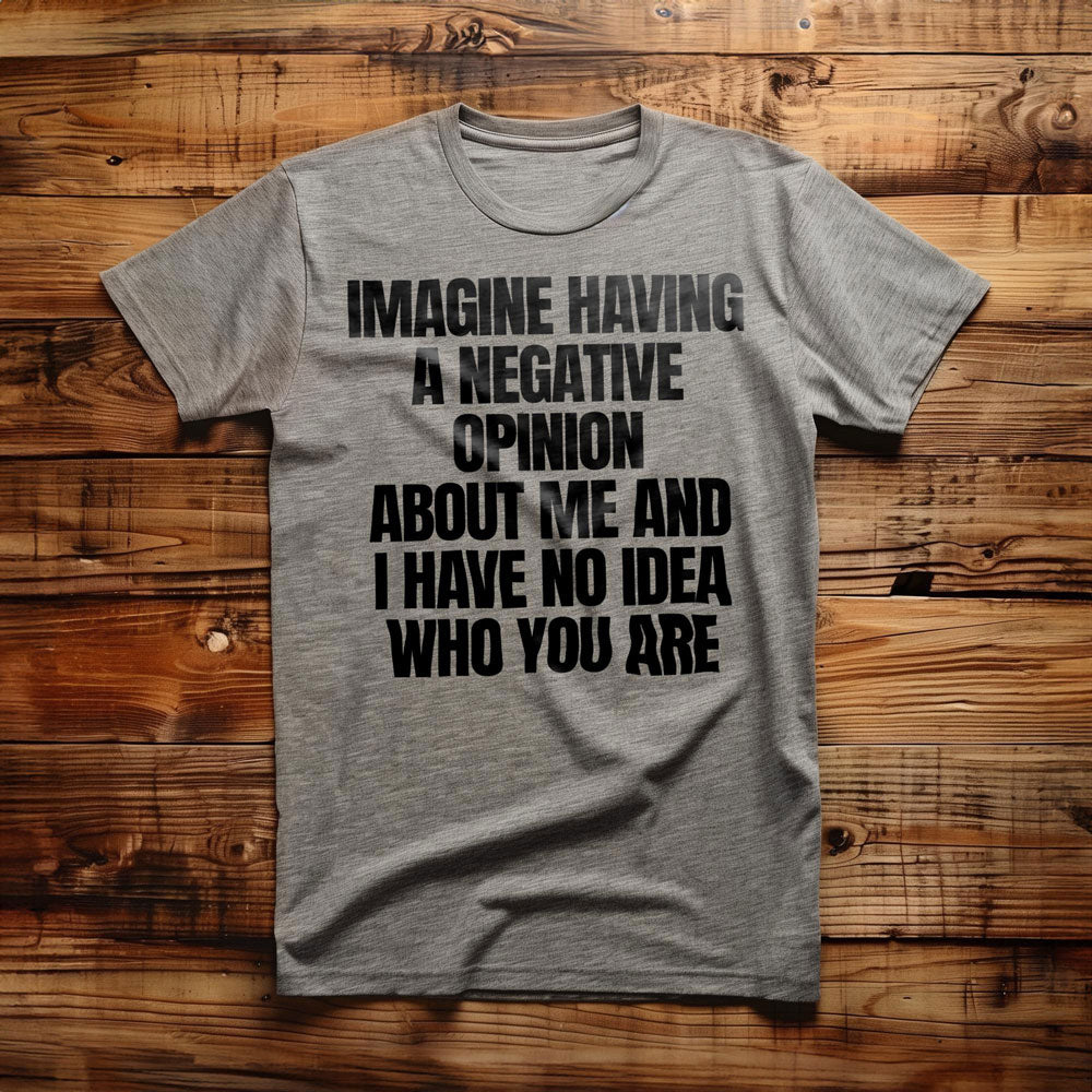 Imagine Having a Negative Opinion About Me and I Have No Idea Who You Are T-Shirt – Regular Athletic Heather