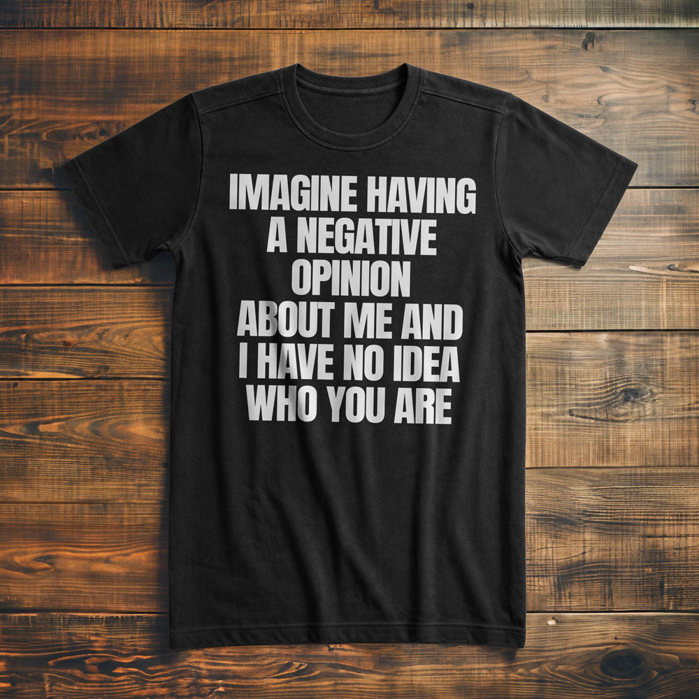 Imagine Having a Negative Opinion About Me and I Have No Idea Who You Are T-Shirt