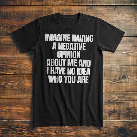 Imagine Having a Negative Opinion About Me and I Have No Idea Who You Are T-Shirt